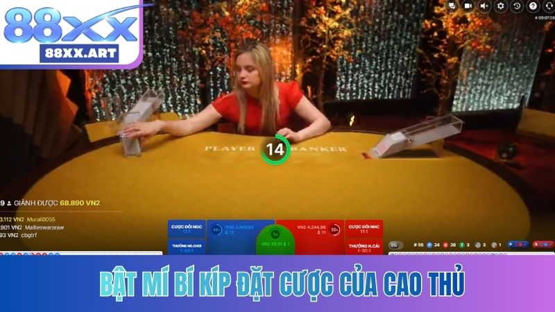 Bật mí bí kíp đặt cược của cao thủ