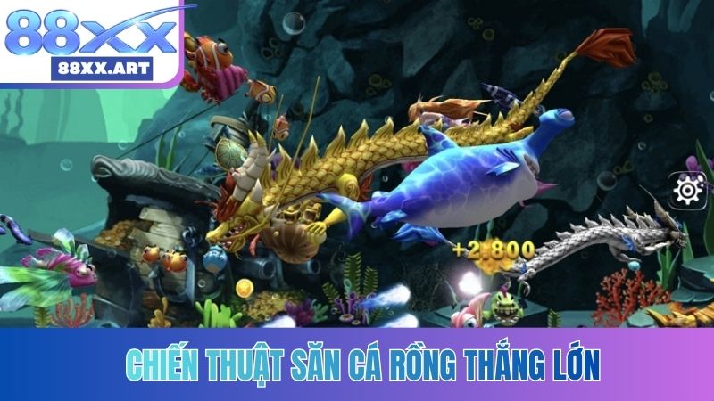 Chiến thuật săn Cá Rồng thắng lớn